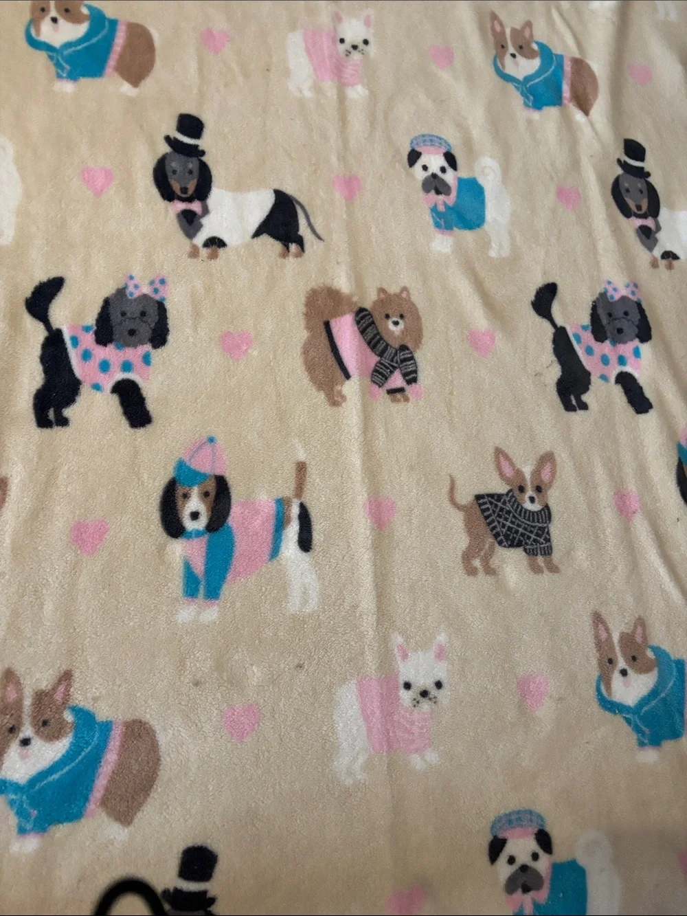 Plush Dog Print Pet Blanket - Cream with Pink & Blue Accents